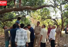 ધરમપુરના બારસોલમાં યુવક-યુવતીનો આપઘાત..આંબાની વાડીમાં બંનેના મૃતદેહ લટકતી હાલતમાં મળી લાશો…