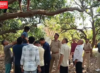 ધરમપુરના બારસોલમાં યુવક-યુવતીનો આપઘાત..આંબાની વાડીમાં બંનેના મૃતદેહ લટકતી હાલતમાં મળી લાશો…
