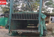 ખેરગામમાં દીપડાએ વાછરડી પર કર્યો હુમલો… દીપડાની દહેશતના પગલે લોકોમાં ભયનો માહોલ..