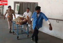 સુરતમાં અકસ્માતગ્રસ્ત દંપતીને મહિલા PIએ તાત્કાલિક પોલીસ વાનમાં સિવિલ ખસેડયા, વૃદ્ધાના માથામાં 8 ટાંકા આવ્યા..