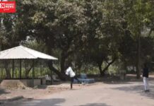 સુરતના સરથાણા નેચર પાર્કમાં કેરી તોડનાર યુવકને રૂ. 200નો દંડ…