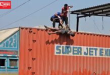 વાપીમાં કરુણ ઘટના, ટ્રક કેબિન પર સફાઈ કરતા ચાલકને વીજ કરંટ લાગતાં ઘટનાસ્થળે જ મોત…