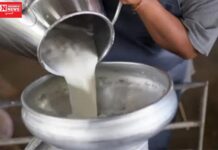 ડાંગ જિલ્લામાં મોટી કાર્યવાહી, વઘઇ તાલુકાની બે મહિલા સંચાલિત દૂધ મંડળીઓની નોંધણી રદ કરાઈ…