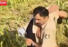 સુરતમાં એક યુવતી એ ખેતરમાં દવા પી લેતા ઘટના સ્થળે વાહન ન પહોંચતા, પોલીસકર્મીએ યુવતીને ખભે ઊંચકી હોસ્પિટલ પહોંચાડી…