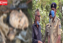 ભરૂચ દુધધારા નજીકથી મળેલ માનવ મૃતદેહના અવશેષોને ઓળખવામાં પોલીસને મળી સફળતા…