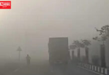 નવસારીનાં વેસ્મા-મરોલીમાં ગાઢ ધુમ્મસથી ચાલકોએ લાઈટ ચાલુ રાખી વાહન હંકારવાની નોબત..