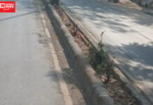 નવસારીના વિરાંજલીથી અગ્રવાલ કોલેજ રોડના અનેક વૃક્ષો નાશ પામ્યા…