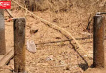 વાંસદાના 94 ગામોમાં ‘નળ સે જળ’યોજના 80 % ફેઇલ હોવાની બૂમ..