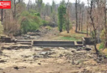 ડાંગમાં 311 ગામોમાં 1200 જેટલા ચેકડેમ છતાં પીવા અને ખેતી પાક માટે પાણી ઉપલબ્ધ નથી…