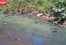 નિઝરમાં પાકી ગટર લાઈન ઉભરાતા ખુલ્લામાં વહેતા પાણીથી લોકો હેરાન…