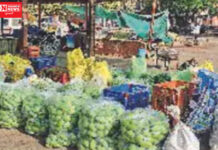 વ્યારામાં 1 મણ કેસર કેરીનો ભાવ રૂપિયા 1200થી 1400ની વચ્ચે બોલાયો, શુક્રવારે 14 ટનની આવક થઇ…