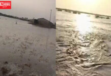 જંબુસરના ઇસ્લામપુર ગામમાં દરિયાના પાણી ગામમાં ઘૂસ્યા.. પાણી અટકાવવાની પાળો તૂટેલી હાલતમાં..