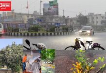 રાતે દક્ષિણ ગુજરાતનાં દરેક જિલ્લાઓમાં ભારે પવન ધીમી ધારે વરસાદ, વાતાવરણમાં ઠંડક પ્રસરી..