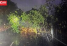 ઉમરગામમાં પવન સાથે મોડી સાંજે વરસાદના કારણે અનેક વૃક્ષો ધરાશય…