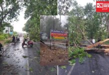 ધરમપુરના કરંજવેરીમાં વરસાદ-વાવાઝોડામાં ઝાડો ધરાશયી થતાં હાઇવે બ્લોક થયાના સર્જાયા દ્રશ્યો..