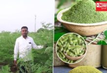 કૃષિમાં નવીનતા અને સમર્પણ પડકારજનક વાતાવરણમાં પણ સફળતામાં મેળવી શકાય છે:  ગ્રામ્ય ખેડૂત મહાદેવ મોરે