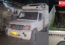 માંડવીના તાપી નદીના નવા પુલ પરથી કતલ માટે લઈ જવાતી ભેસો ભરેલો બલેરો ટ્રક પકડાયો..