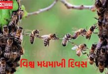 આજે 20 મે..વિશ્વ મધમાખી દિવસ.. સમગ્ર વિશ્વમાં ઇકોસિસ્ટમમાં મધમાખી મહત્વ ઉજવણી..