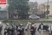 નવસારીના 4 તાલુકામાં થયો કમોસમી વરસાદ, વાવાઝોડાને લીધે અનેક કૃષિ પાકોને થયું નુકસાન..