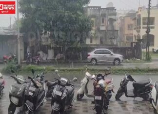 નવસારીના 4 તાલુકામાં થયો કમોસમી વરસાદ, વાવાઝોડાને લીધે અનેક કૃષિ પાકોને થયું નુકસાન..