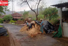 ધરમપુર તાલુકાના 11થી વધુ ગામમાં માવઠાથી ખેતરોમાં પાણી ભરાઇ ગયા… વરસાદથી વાવણીમાં ખેડૂતોને તકલીફ..