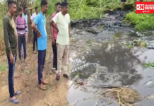 ઉમરપાડા બન્યું ગંદકીનું શિકાર જાણે તંત્ર ઊંધી આંખો કરી અજાણ બનતું હોય એવા દ્રશ્ય સામે આવ્યા..