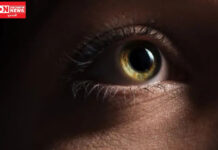 ગુજરાતમાં કોરોનાકાળ બાદ પહેલીવાર 15 દિવસમાં મ્યુકર માઇકોસીસના બે કેસ, એક દર્દીની આંખ કાઢવી પડી..