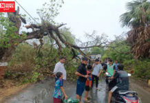 વલસાડ-નવસારી-ડાંગમાં કેરીના પાકને નુકસાન, સાંસદ ધવલ પટેલે વળતરની માગણી કરી…