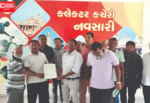 નવસારીની વાડીઓમાં હજારો મણ કેરી ચોરાતાં સુરક્ષા માટે ખેડૂતોની કલેકટરને કાકલૂદી…