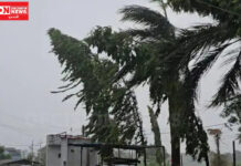 તાપીના વ્યારા શહેરમાં ભારે પવનના કારણે પાર્કિંગ શેડના પતરા ઉડયા..