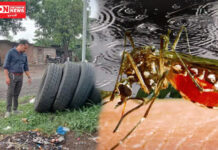 વલસાડમાં 15 ડેન્ગ્યુ અને 3 મેલેરિયાના કેસો નોંધાયા.. 800 આરોગ્ય કર્મચારીઓ જિલ્લામાં સર્વે માટે ઉતર્યા ગ્રાઉન્ડ પર..