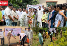 ઉમરપાડા તાલુકાના ફોરેસ્ટ ડિપાર્ટમેન્ટ દ્વારા તાલુકાની વિવિધ કચેરીઓ ખાતે વિશ્વ પર્યાવરણ દિવસ નિમિત્તે વૃક્ષારોપણ..