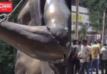 બિરસા મુંડની પુણ્યતિથિના દિવસે તેની પ્રતિમા ખંડિત કરતાં આદિવાસી સમાજમાં ફેલાયો આક્રોશ..