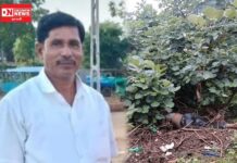 હેર કટીંગની દુકાન ચલાવતાં ઉમરપાડાના આદિવાસી યુવાનની મોં ઘા મારી હત્યા કરી ઝાડી-ઝાંખરામાં ફેકી દીધો હોવાની લોકચર્ચા