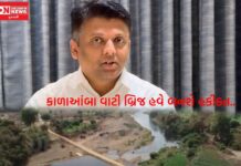 77 વર્ષોથી રાહ જોવાતો કાળાઆંબા વાટી બ્રિજ હવે હકીકત બનવા જઈ રહ્યો છે ! ધન્યવાદ સાંસદ ધવલ પટેલ: લોકો