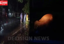 વલસાડ તાલુકાના કોસંબા રોડ પર પોલિટેક્નિક કોલેજ નજીક ટ્રાન્સફોર્મર પોલ તૂટતાં ગાયનું મોત..