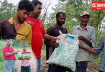 વાંસદાના સતીમાળ,અંકલાછ, લાકડબારી ગામમા સામાજિક આગેવાન બિપીન માહલાની ધરતીપુત્રોને બિયારણની ભેટ..