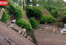 નર્મદા ફોરેસ્ટ વિભાગની દાદાગીરી: ફરી આદિવાસી સમાજના લોકોની 7 દુકાનો તોડી રોજગારી છીનવી..