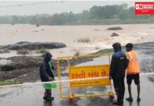 વાંસદામાં ધોધમાર વરસાદને લીધે નદી નાળા છલકાયા.. જાણો કયા કયા રસ્તાઓ લોક સુરક્ષાને ધ્યાને લઇ કરાયા બંધ..