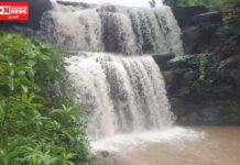 વલસાડ જિલ્લાના પહાડી વિસ્તારમાં વરસાદી માહોલમાં પ્રકૃતિ સોળે કળાએ ખીલી ઉઠી..