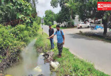 નવસારી જિલ્લામાં મચ્છરજન્ય રોગોનો સામનો કરવા માટે 4.40 લાખ ઘરોનો સર્વે..