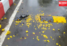 ઉમરગામમાં ગૌરવ પથ પર રાત્રે પ્લાસ્ટિકના સ્પીડ બ્રેકર લગાવ્યા સવારે પાપડની જેમ કચડાઈને ઉખડી પણ ગયા..