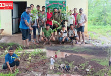 ઉમરપાડાના એક્શન યુવા ગૃપ વતી વન મહોત્સવ 2025 થીમ: “પ્રકૃતિ સાથે બંધાયેલો ભવિષ્ય” વૃક્ષારોપણ કાર્યક્રમનું સફળ આયોજન..