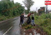 નાનાપોંઢા-પારડી નેશનલ હાઈવે પર મસમોટા ખાડાઓ હવે વાહનચાલકોને મુશ્કેલીમાં મૂકી દીધા..સ્થાનિક લોકોએ ઝાડની ડાળીઓ મૂકી ચેતવણી આપી..