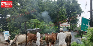 માંગરોળ તાલુકાના બોરીયા ગામે પરંપરાગત આદિવાસી રિવાજો આજે પણ યથાવત..