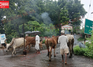 માંગરોળ તાલુકાના બોરીયા ગામે પરંપરાગત આદિવાસી રિવાજો આજે પણ યથાવત..