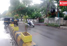 નવસારીમાં જૂનાથાણાથી સર્કિટ હાઉસ માર્ગ પર લાઇટનો થાંભલો ધસી પડયો..