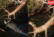 હેલમેટના કારણે જીવ બચી ગયો હોવાનો કિસ્સો જંબુસર તાલુકામાંથી સામે આવ્યો..