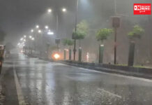 વલસાડ જિલ્લામાં છેલ્લા 24 કલાકમાં સૌથી વધુ કપરાડા તાલુકામાં 46 મિમી..