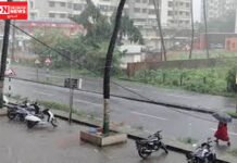 વલસાડ જિલ્લામાં છેલ્લા 24 કલાકમાં સૌથી વધુ પારડી તાલુકામાં 36 મિમી વરસાદ..